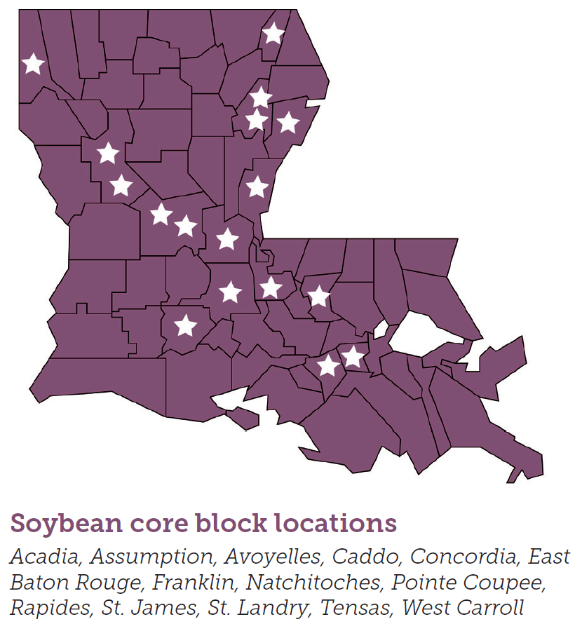 LSU AgCenter Conducts Soybean Variety Trials and On-farm Demonstration Plots